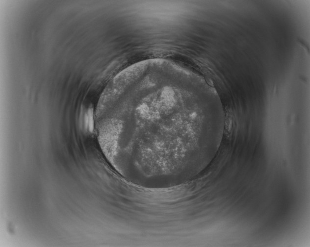 X0000102250046200808081420