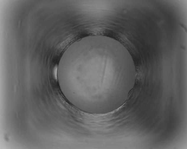 X0000102250047200808081420