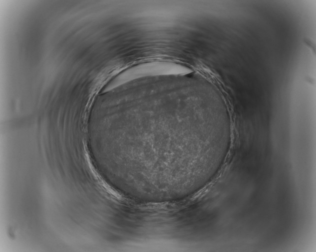 X0000102250049200808081420