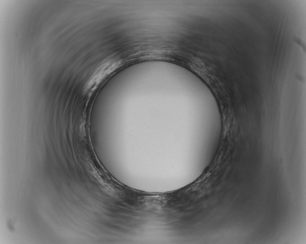 X0000102250050200808081420