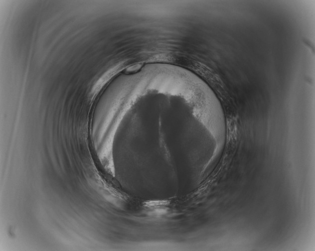 X0000102250051200808081420