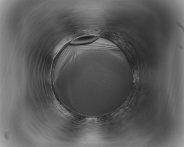 X0000102250052200808081420