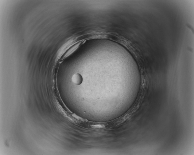 X0000102250053200808081420