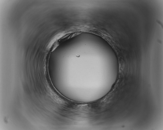 X0000102250054200808081420