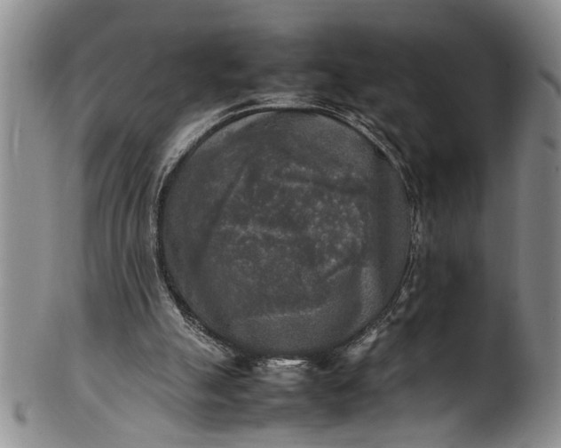 X0000102250055200808081420