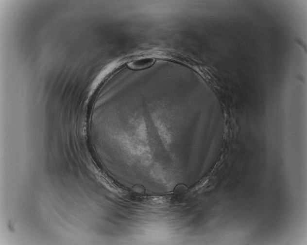 X0000102250056200808081420