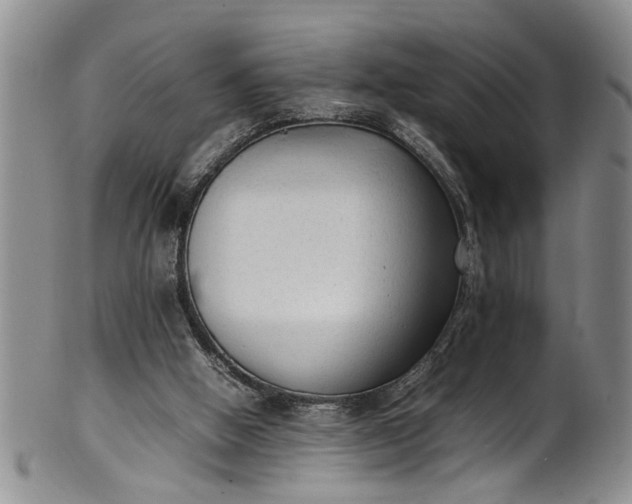 X0000102250058200808081420