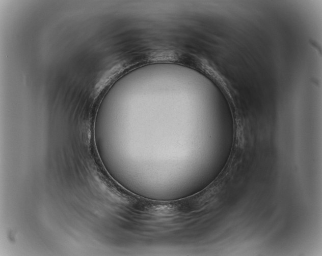 X0000102250059200808081420