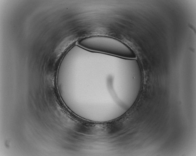 X0000102250060200808081420