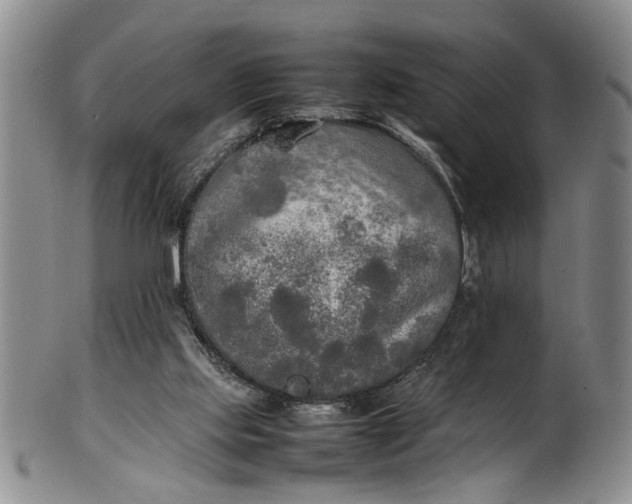 X0000102250061200808081420