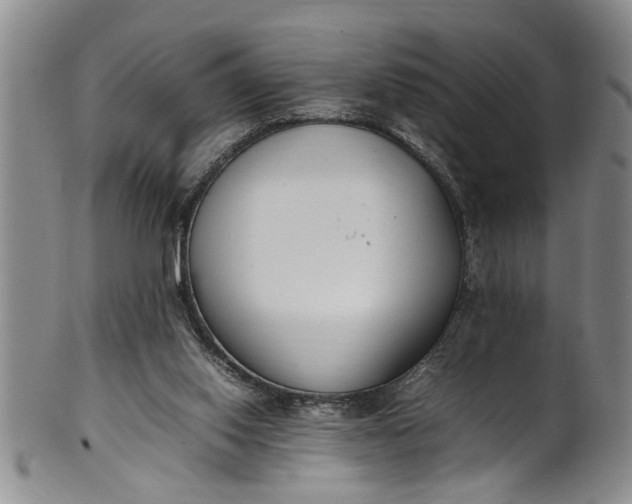 X0000102250062200808081420