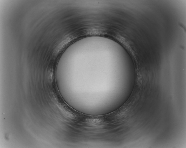 X0000102250063200808081420