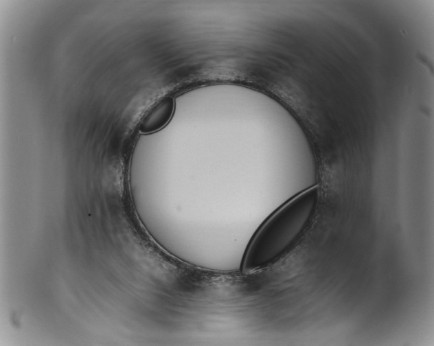 X0000102250064200808081420