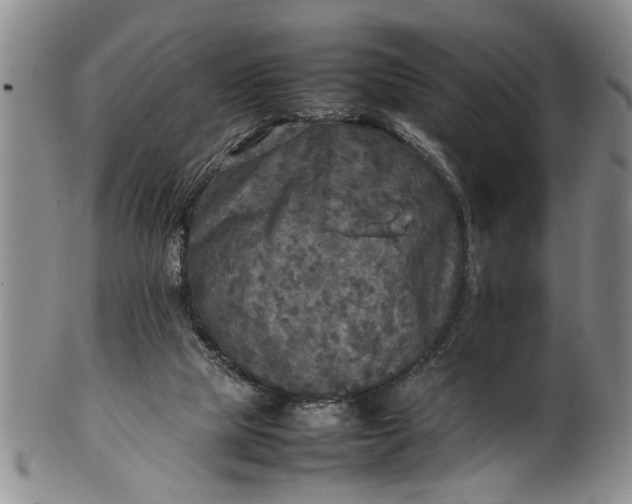 X0000102250065200808081420