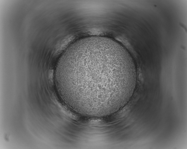 X0000102250066200808081420