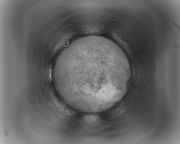 X0000102250067200808081420