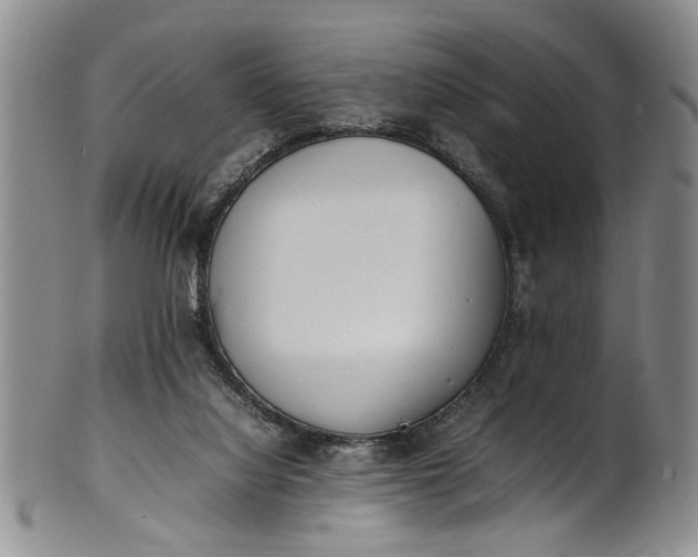 X0000102250068200808081420