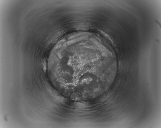 X0000102250069200808081420