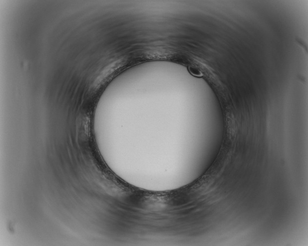 X0000102250071200808081420