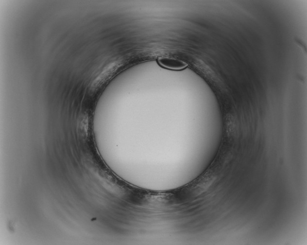 X0000102250072200808081420