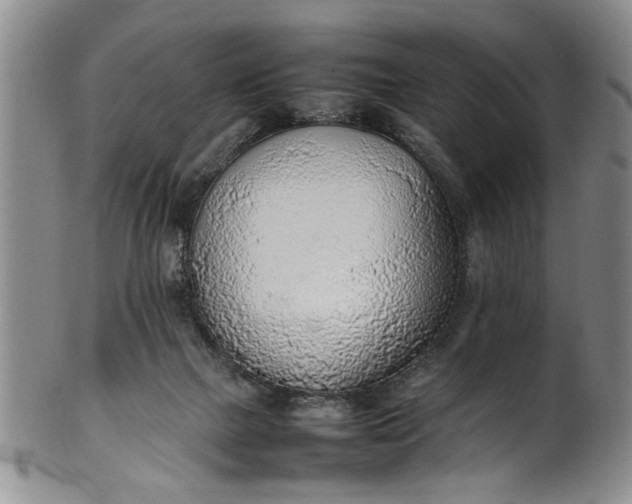 X0000102250073200808081420