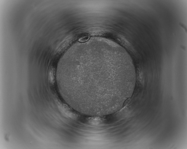 X0000102250074200808081420