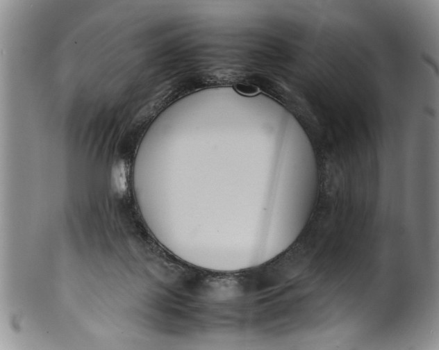 X0000102250075200808081420