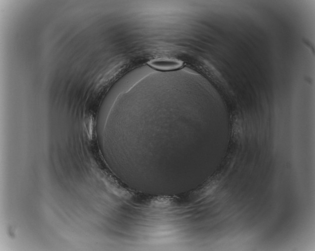 X0000102250076200808081420