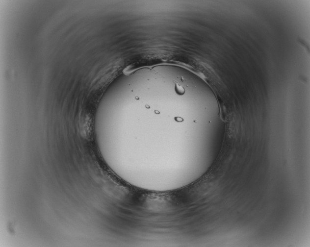 X0000102250077200808081420