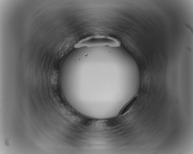 X0000102250078200808081420