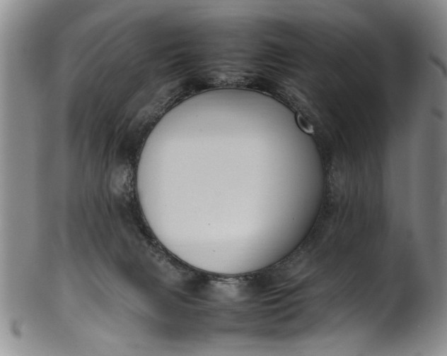 X0000102250079200808081420