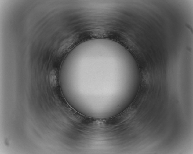 X0000102250080200808081420