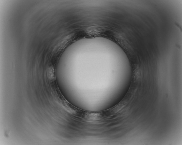 X0000102250081200808081420