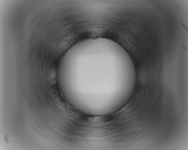 X0000102250082200808081420