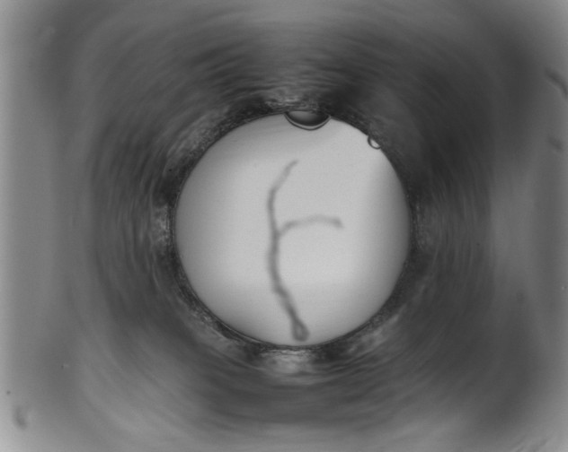 X0000102250085200808081420