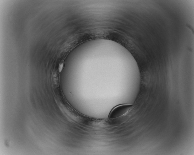 X0000102250086200808081420