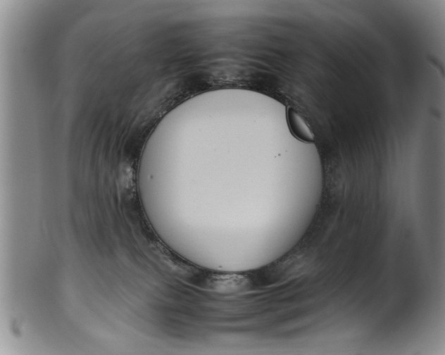 X0000102250087200808081420