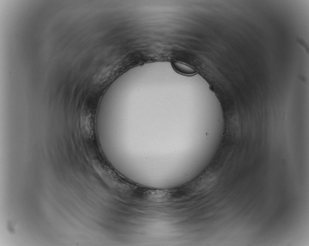 X0000102250088200808081420