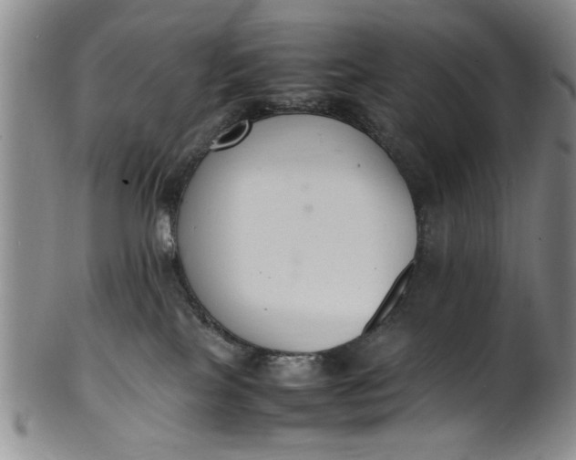 X0000102250089200808081420