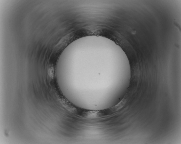 X0000102250090200808081420