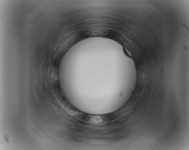 X0000102250091200808081420