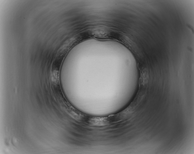 X0000102250093200808081420