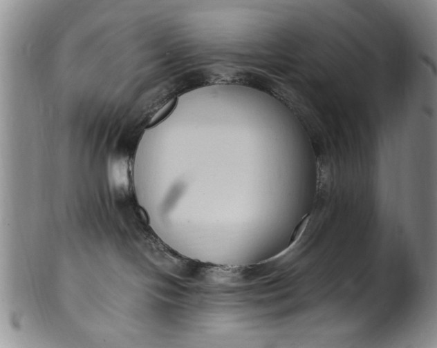 X0000102250094200808081420