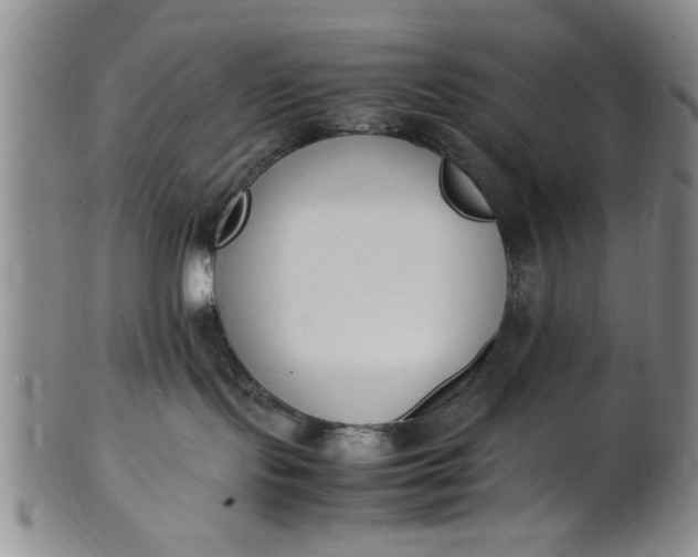 X0000102250095200808081420