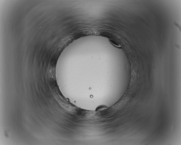 X0000102250096200808081420