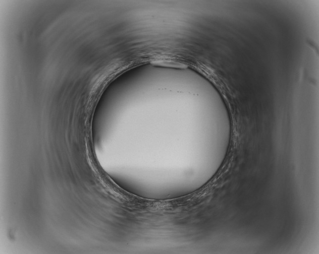 X0000102250097200808081419