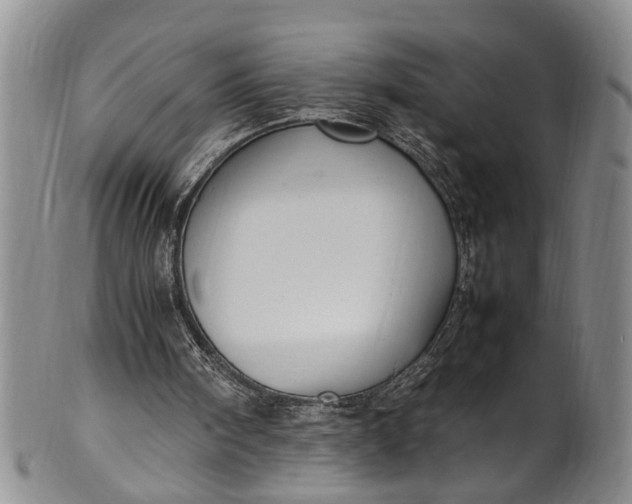 X0000102250098200808081419