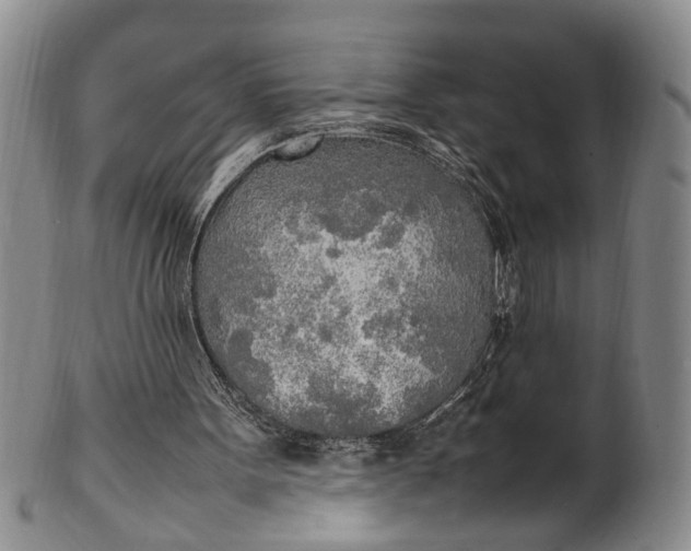 X0000102250099200808081419