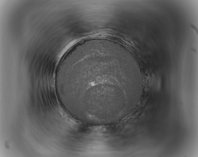 X0000102250100200808081419