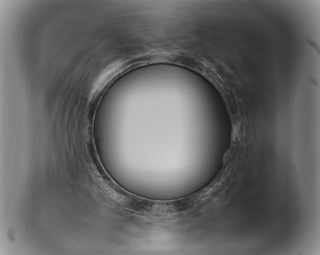 X0000102250101200808081419